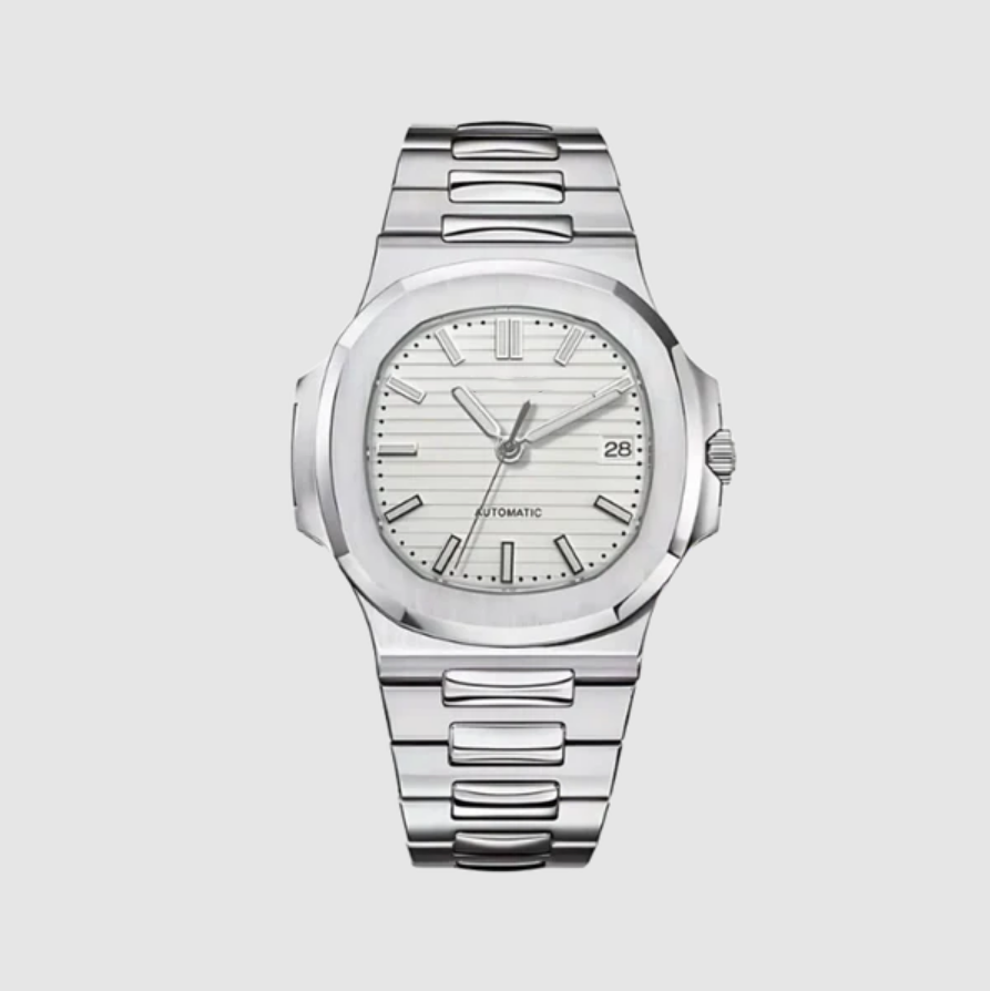 Iced White Nautilus