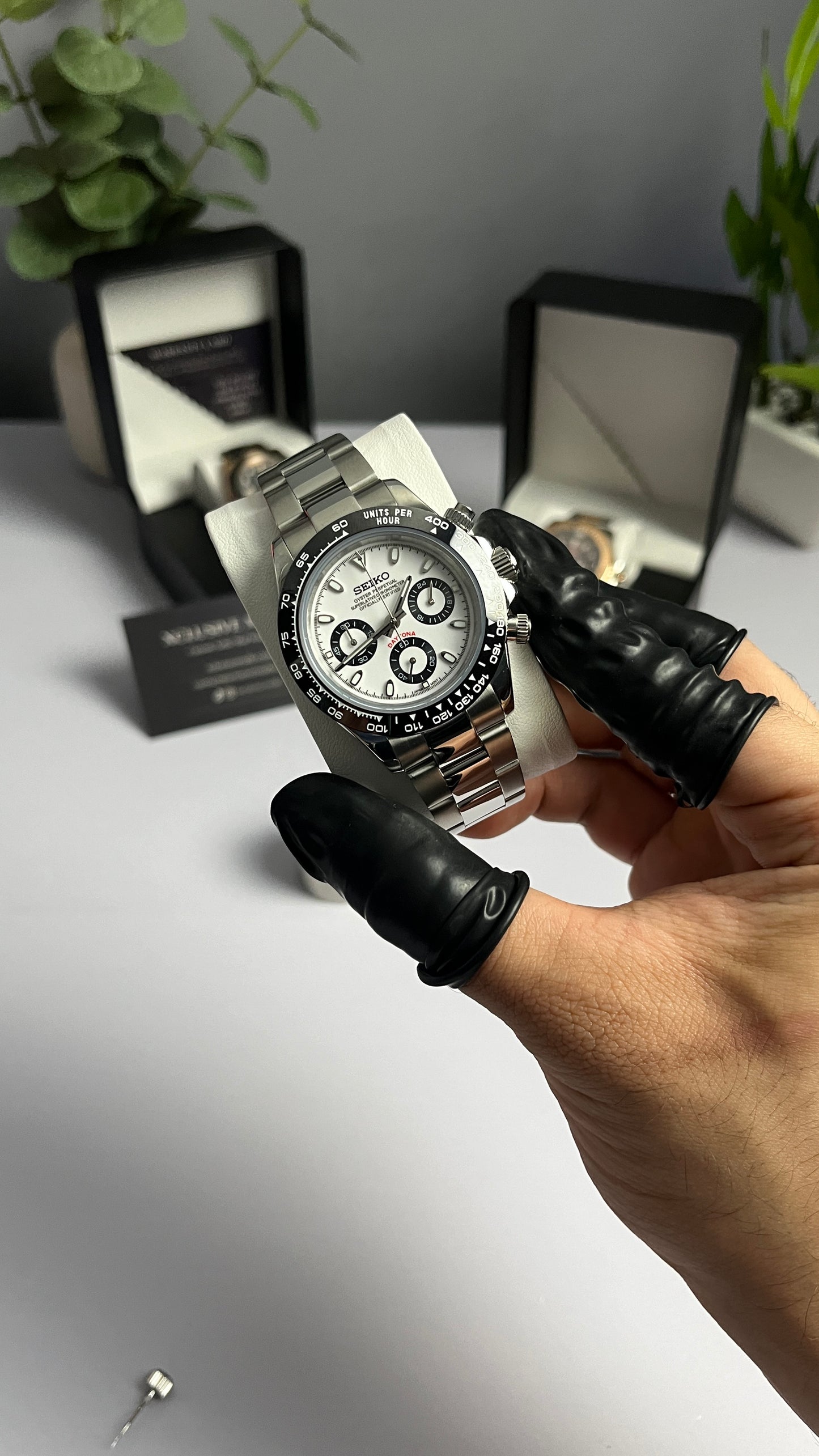 White Panda Daytona