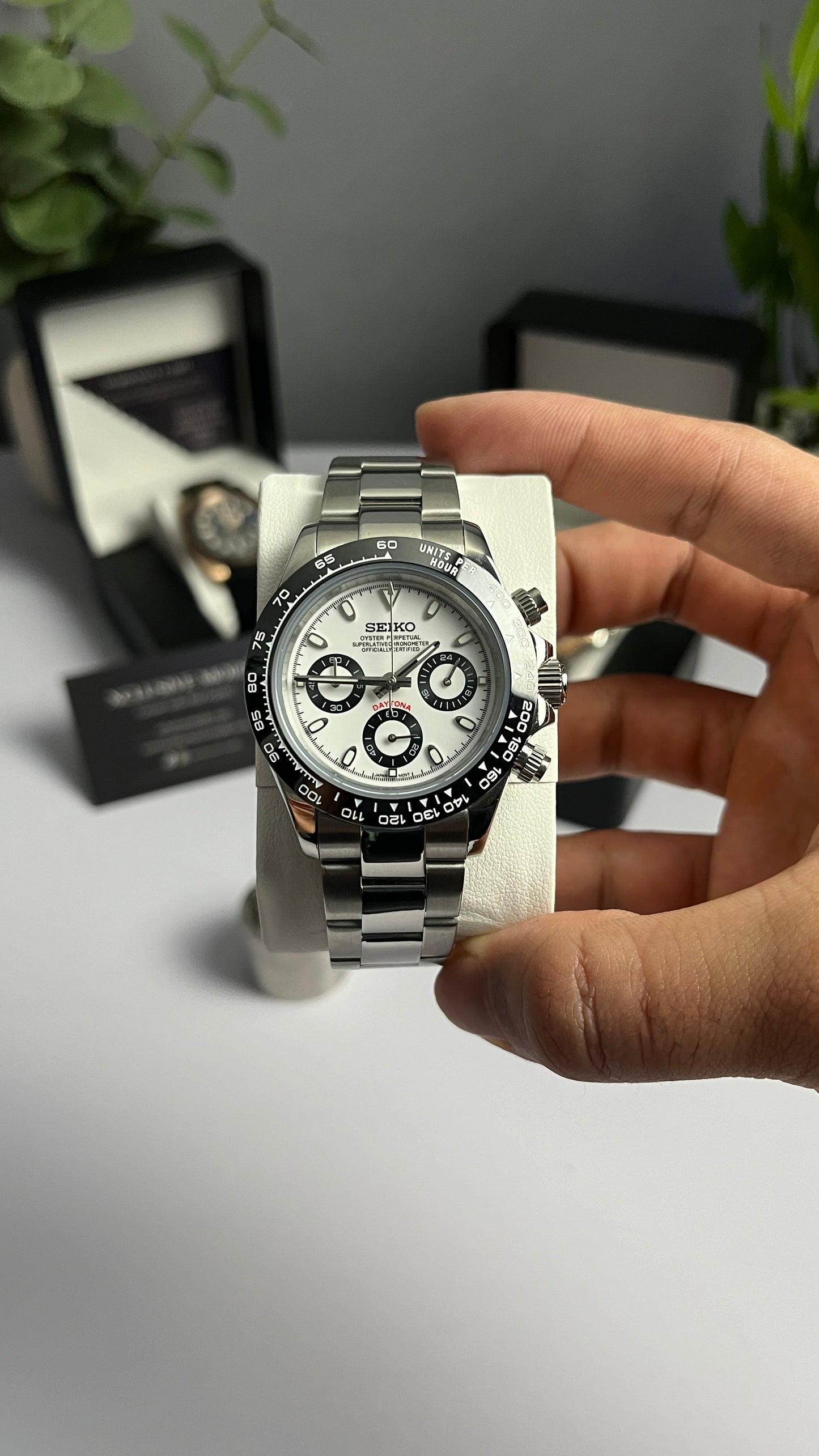 White Panda Daytona