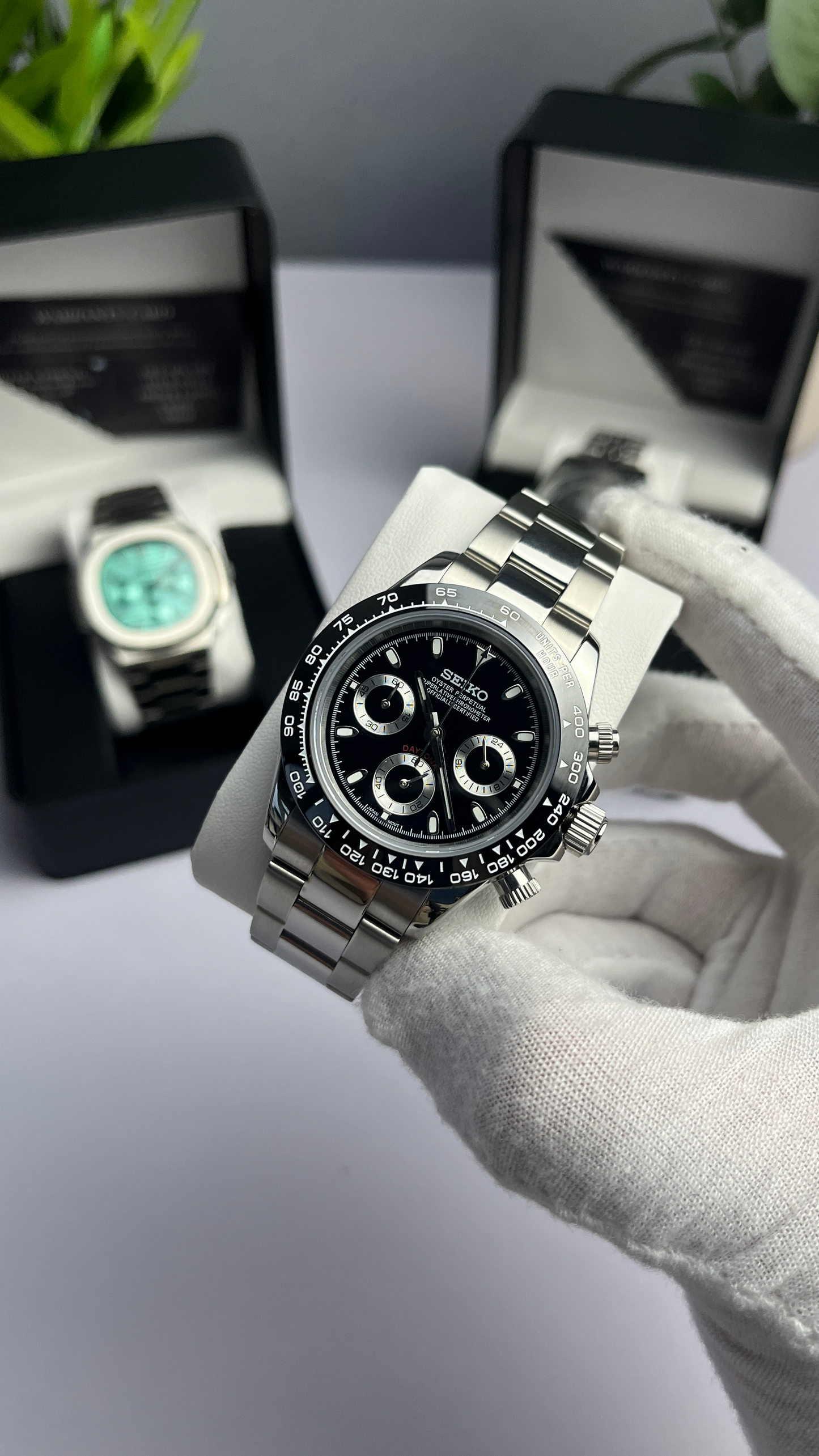 Black Panda Daytona
