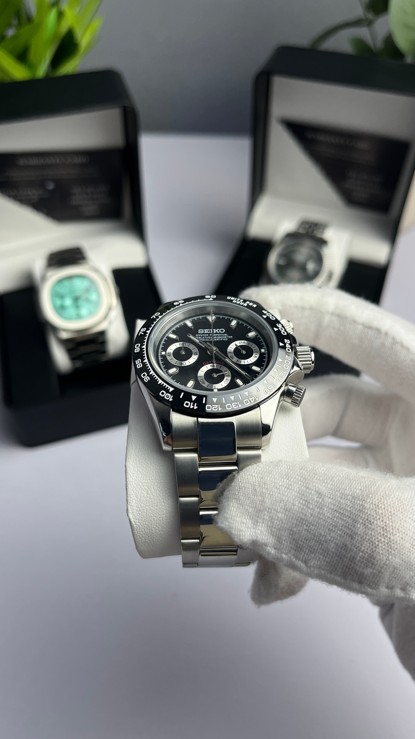 Black Panda Daytona